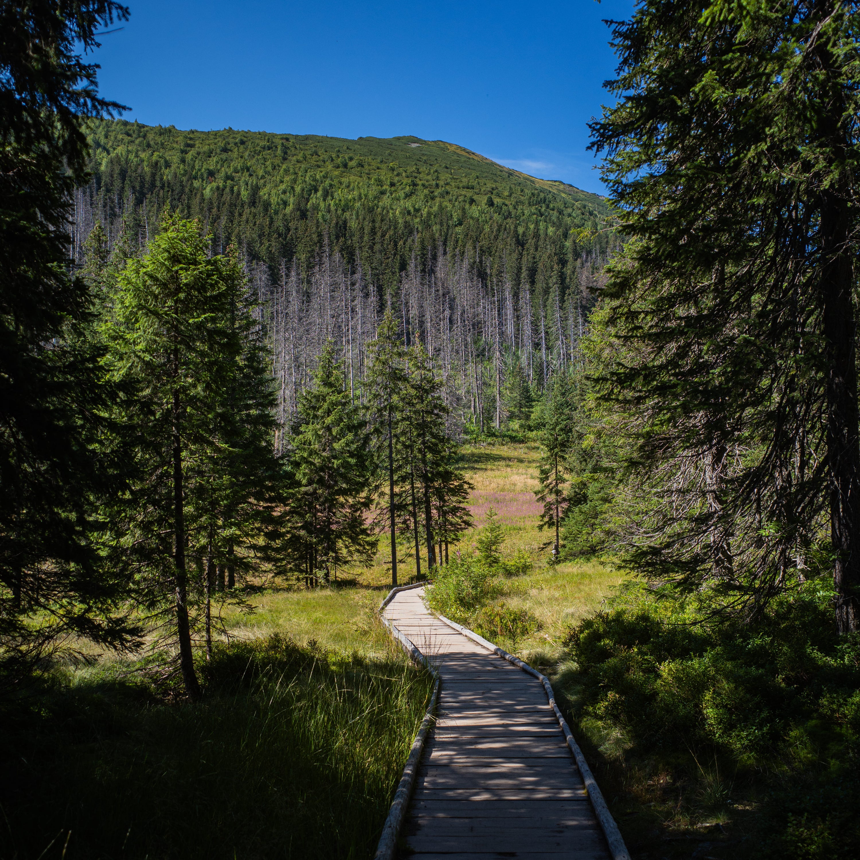 Tatry, road to Orla Perc