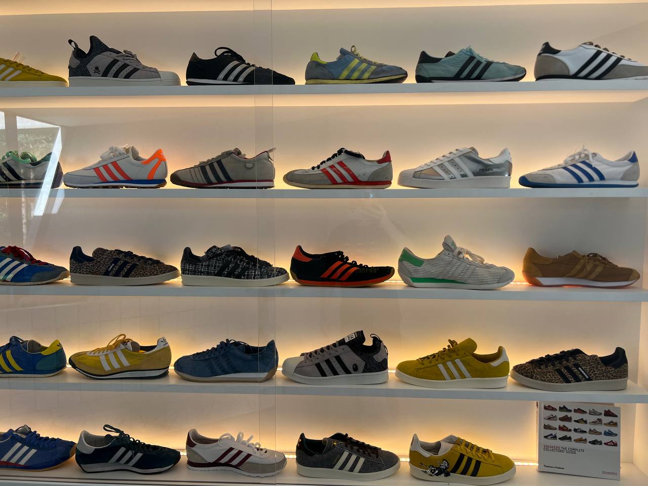 Adidas trainer models hotsell