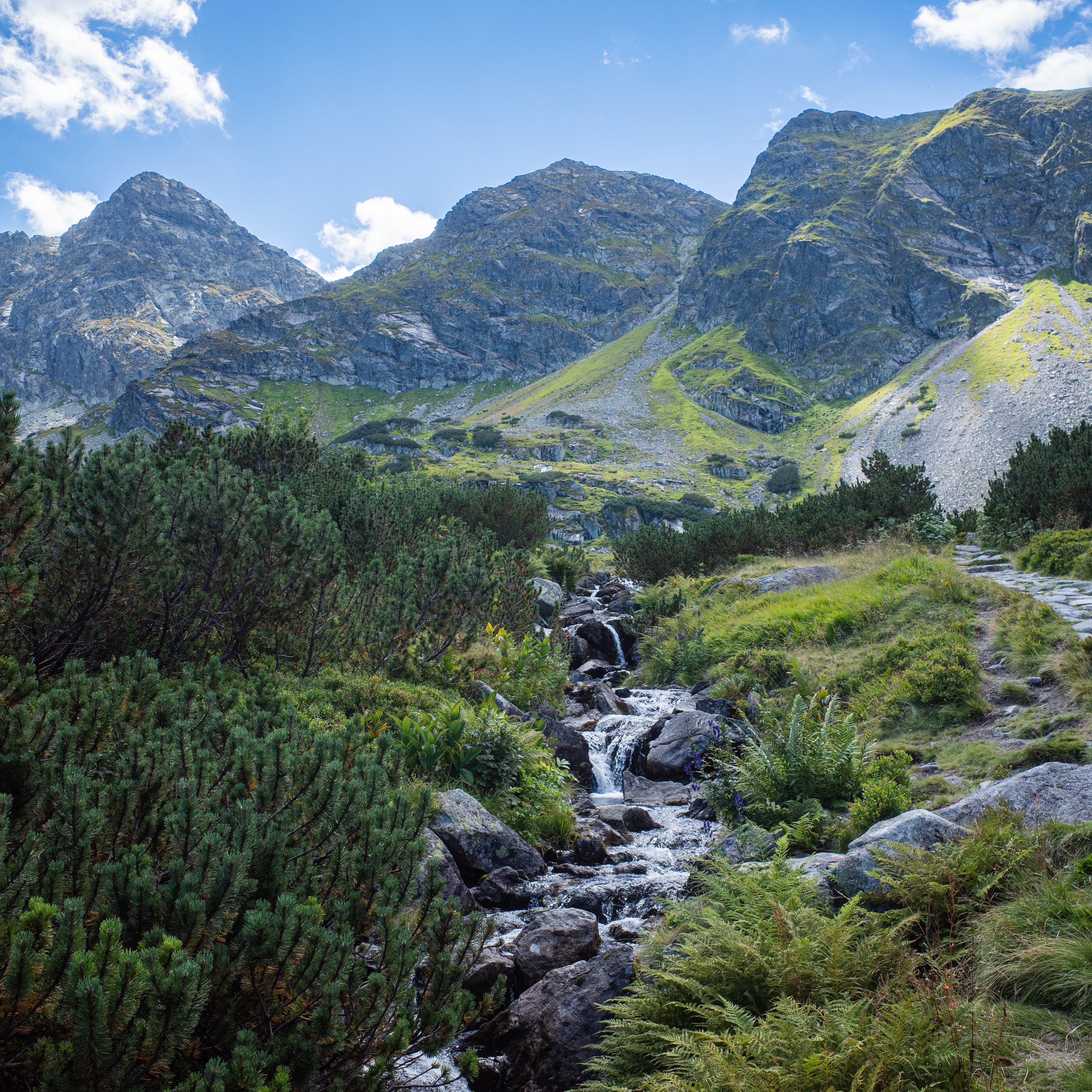 Tatry mountains 